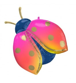 Shape Colorful Ladybug
