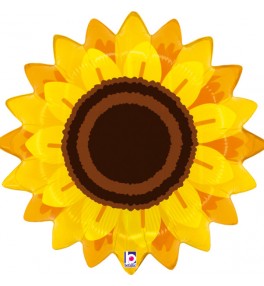 Shape  Sunflower