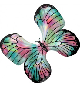 Shape Holographic Butterfly