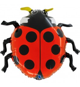 Shape  Ladybug