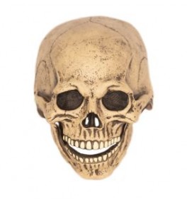 Mask Skull