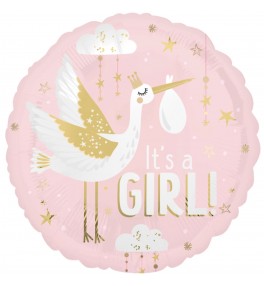 Special Delivery Baby Girl...