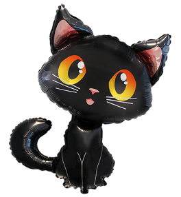 Shape  Black Cat
