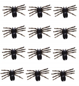 Ämblikute komplekt -