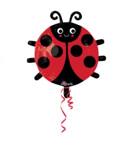 Jr.shape Happy Lady Bug