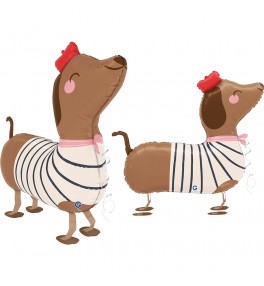 Airwalker Dachshund