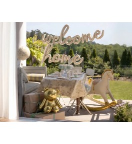 Шар  Welcome Home