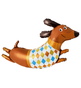 Shape dog Dachshund