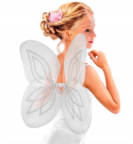 Butterfly wings