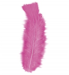 Pink feathers