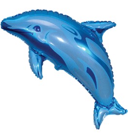 Shape  Dolphin