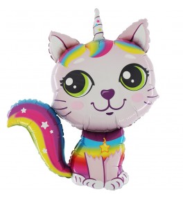 Shape  Rainbow Cat