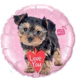 SP-Love You Terrier  õhupall