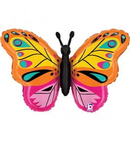 Shape  Butterfly Colorful