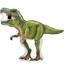 Shape  Dinosaur Real